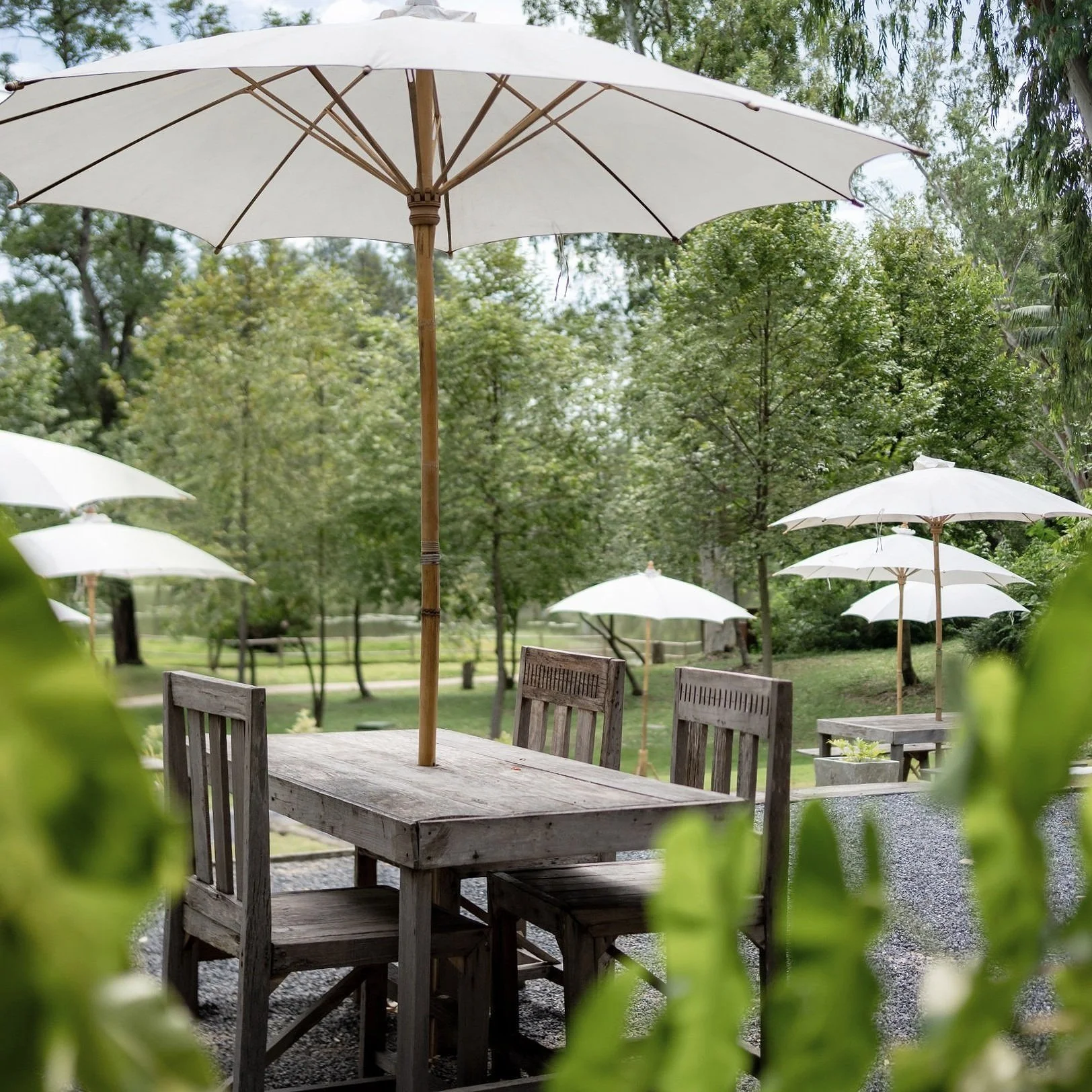 Open Kitchen — venue photograph